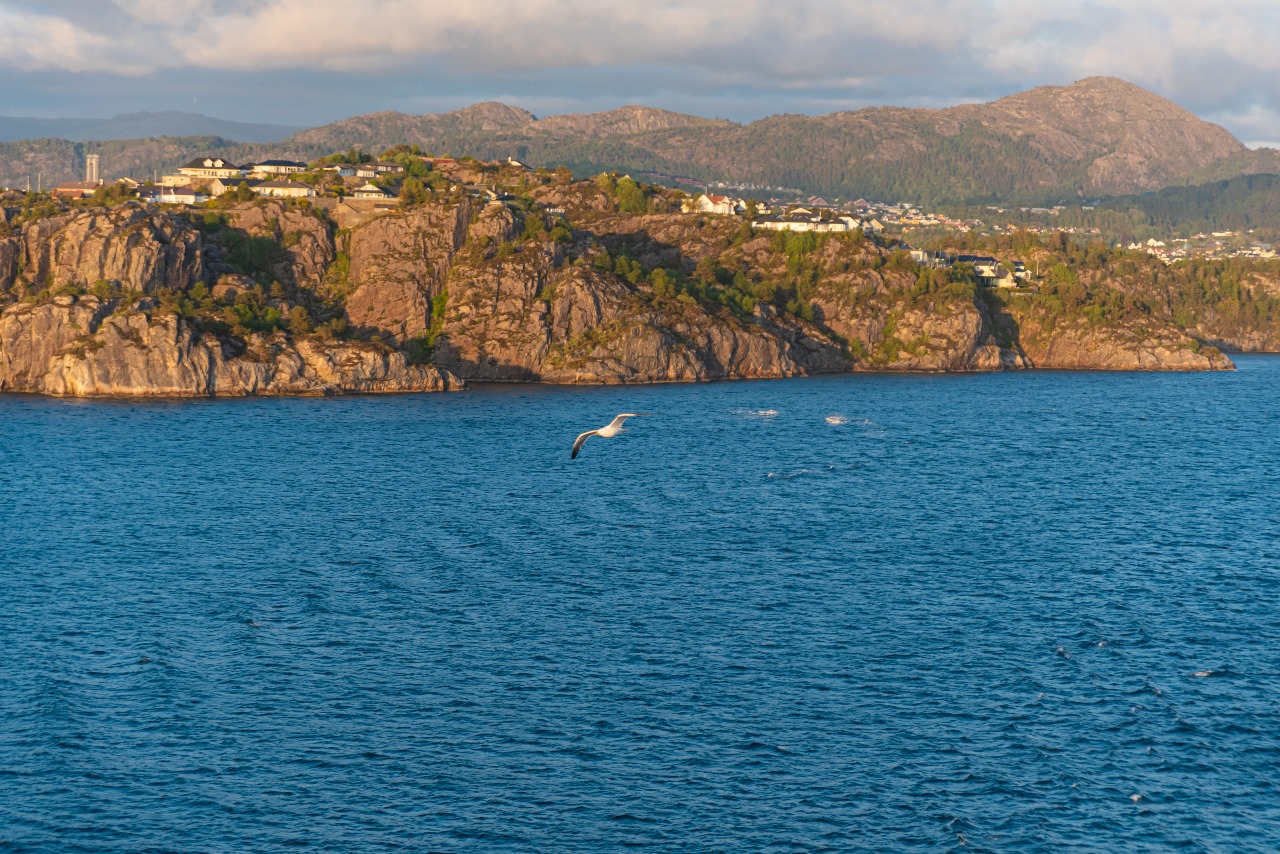 Snorkeling in Catalina Island