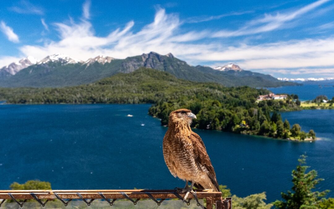 The Ultimate Águilas Bay Tour: Discover the Dominican Republic’s Pristine Hidden Gem
